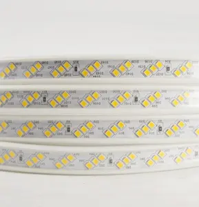 2019 new product 2835 12V 240leds/ m super brightting white /Warm White 12mm LED Flexible Strip light