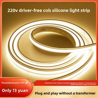 Bande lumineuse LED néon étanche IP65, température de couleur 3000K/4000K/6500K, durée de vie 3000 heures, tube en silicone flexible pour extérieur