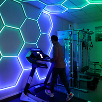 Dropshipping Télécommande Rgb Hexagonal Led Strip Lights pour la décoration de la maison