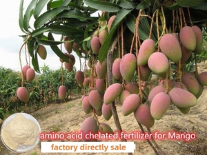 Fertilizzante Liquido Personalizzato con Minerali Chelati agli Amminoacidi Amino+Ca+<span class=keywords><strong>B</strong></span>+Mo, Fertilizzante Organico per Agricoltura - Product Image 2