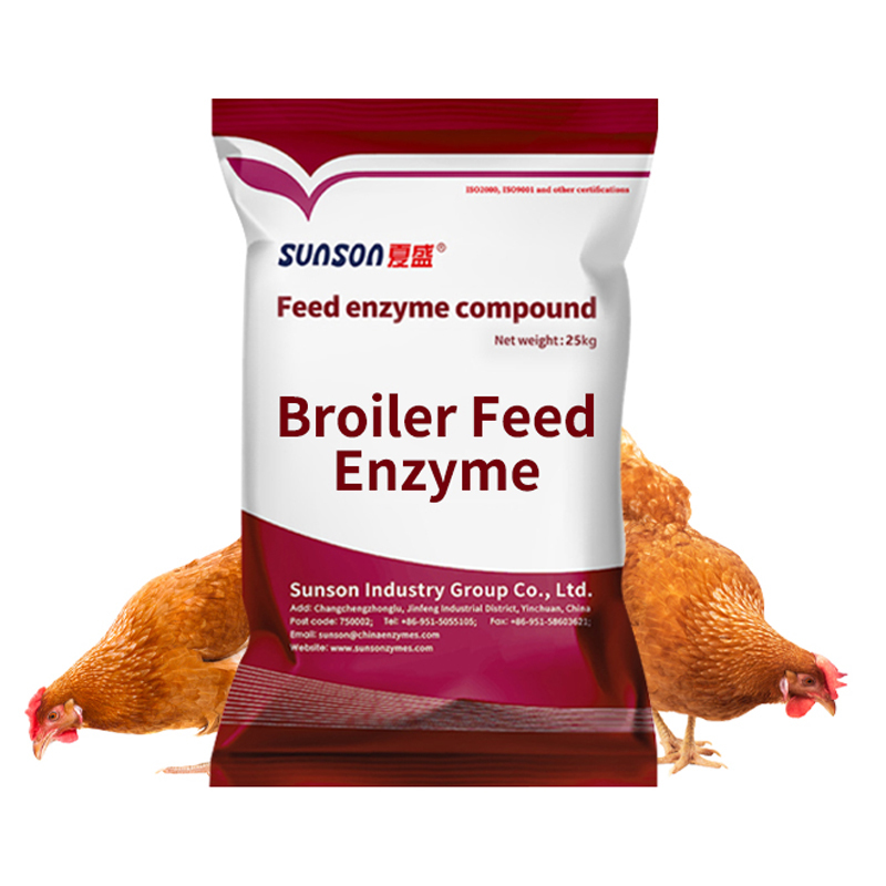 Feed Enzyme Thermostable Phytase for Better