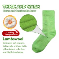 Chaussettes moelleuses et douces pour femmes, chaussettes thermiques en peluche de couleur unie, chaussettes chaudes et confortables, antidérapantes, pour la maison, pour dormir, pour l'hiver, pour les vacances