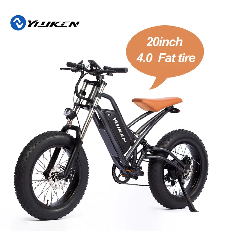 Công Suất Lớn 750 Wát Xe Máy Điện New Đến Xe Đạp Điện Giá Rẻ Giá Ebike 20 Inch Chất Béo Lốp Xe Đạp Điện