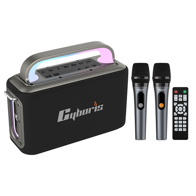 X13 Karaoke PA System, 200W Portable Wireless Speaker, Includes 2 Microphones, RGB Lighting & TWS Function
