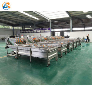 Línea <span class=keywords><strong>de</strong></span> procesamiento <span class=keywords><strong>de</strong></span> lavado y secado <span class=keywords><strong>de</strong></span> corte <span class=keywords><strong>de</strong></span> clasificación <span class=keywords><strong>de</strong></span> verduras y frutas completamente automática Máquina <span class=keywords><strong>de</strong></span> limpieza <span class=keywords><strong>de</strong></span> frutas y verduras - Product Image 5