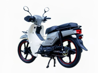 Sepeda Motor DY 110cc Super Cub Silinder Tunggal 4 Tak Grosir Pabrik yang Dapat Disesuaikan
