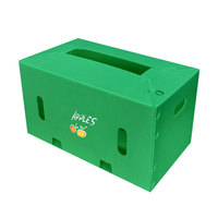 Op Maat Gemaakte Pp Gegolfde Plastic Fruitverpakkingsdoos Pp Plastic Opvouwbare Transportdoos Groente Opbergdoos