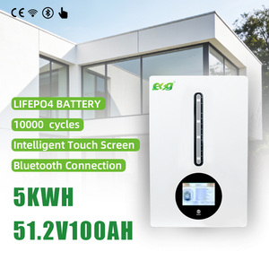 แบตเตอรี่เก็บพลังงานแสงอาทิตย์แบบออฟกริด ESG 51.2V 100Ah ติดผนัง 5kWh ระบบหน้าจอสัมผัส BMS 6000 รอบการใช้งาน Wi-Fi - Product Image 1