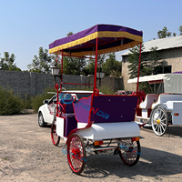Tricycle à pédale avec auvent vente chaude de haute qualité ZHENDA tout nouveau produit transport spécial à vendre