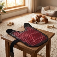 Alat Terapi Cahaya Merah Anredar Ukuran L untuk Anjing, Ukuran 65x58cm, Karpet Kesehatan Anjing untuk Kinerja Kedokteran Hewan