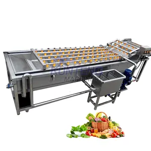 Industrial eddy leaf vegetable meat washing and drying machine potato chilli tomato washer tea leaf cleaning machine price