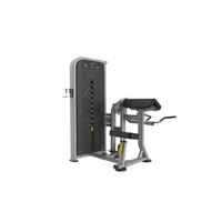 Équipement de fitness commercial : Machine d'entraînement à la charge par aiguille papillon / Machine papillon