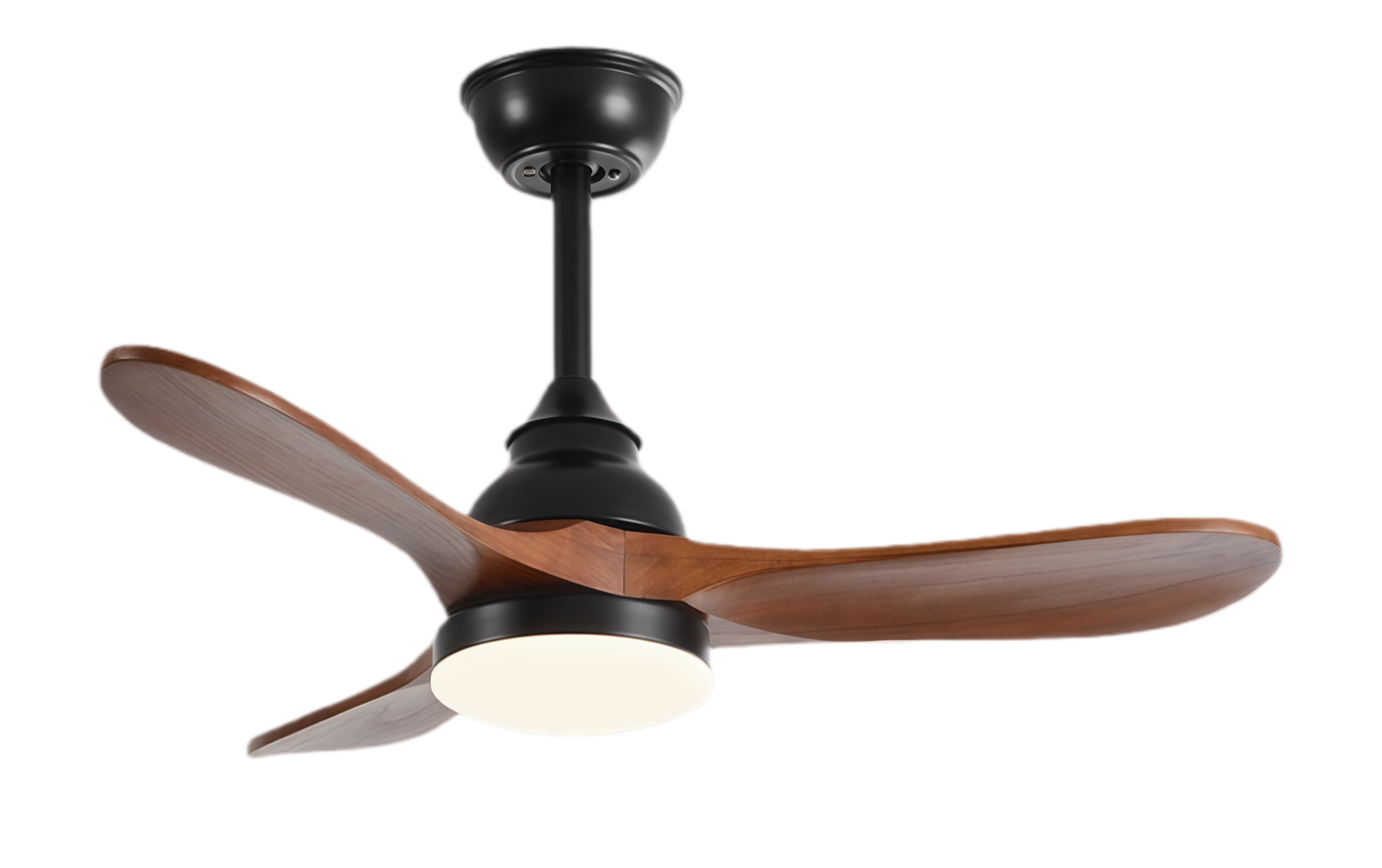 วอลนัทดำ