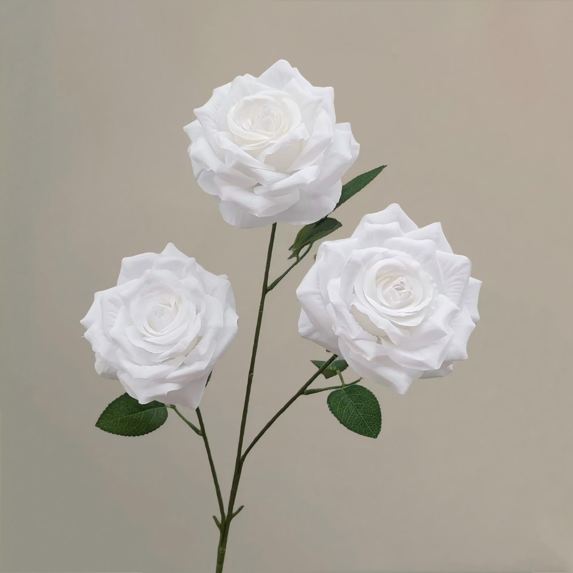 Blanc