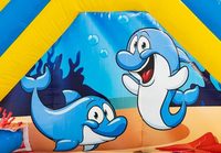 Alliance Nouveau design Toboggan aquatique gonflable pour piscine Toboggan aquatique commercial Toboggan gonflable