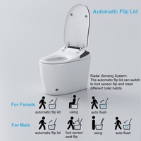 Euro CE approuvé Salle de bain Chaleur Siège S-trap P-trap Bidet Lavage Confortable Prévention des chocs électriques Toilette intelligente Intelligente