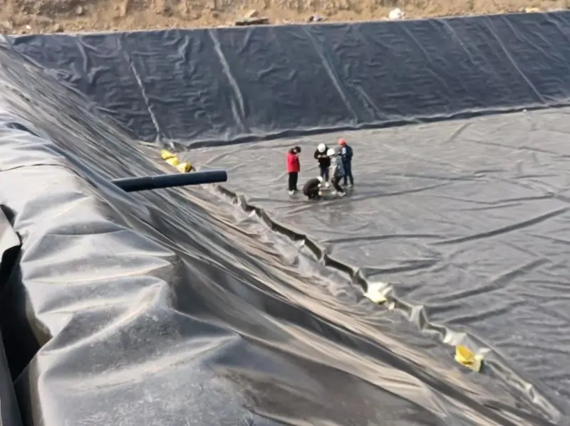 Geomembrane chuyên nghiệp cho an toàn kỹ thuật của bạn!