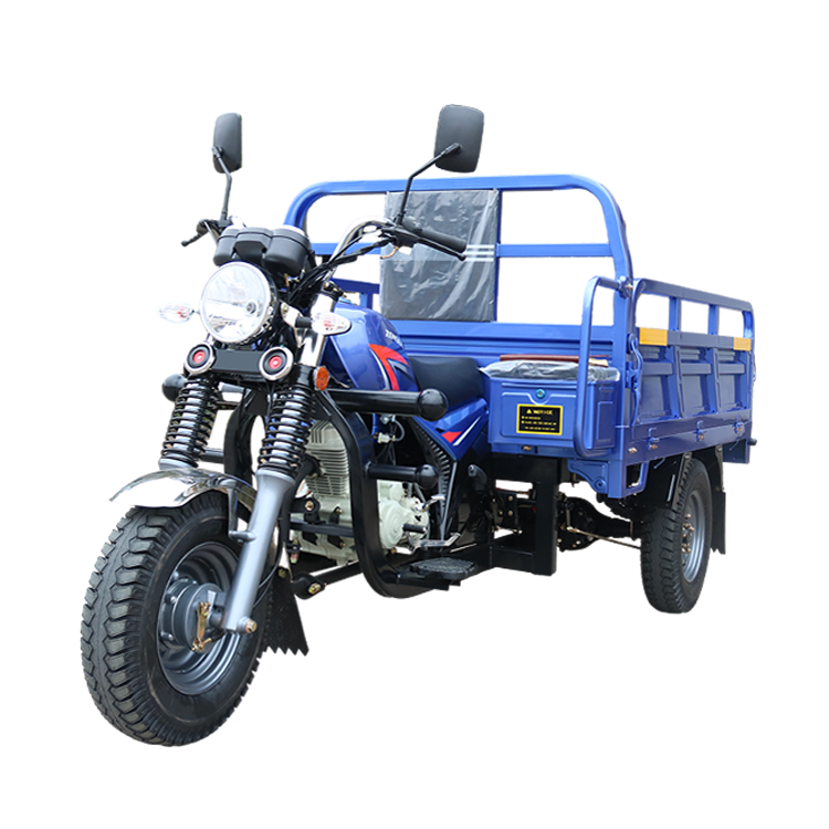 Best Passenger Bajaj Tricycle Motor with High Quality