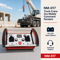 Pendentif de commande de grue de camion NM-017 pour Gru Mobile et Project Supply avec options 12V et 24V