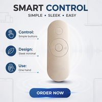 Télécommande TV en plastique à code roulant personnalisé avec 6 boutons, certifiée CE ROHS, avec pile CR2032, garantie de 12 mois