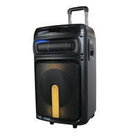 Altavoz Portátil Inalámbrico con Bafle, Reproductor de Audio Original, Party Box de 1000W, Gran Tamaño, Profesional de Fábrica