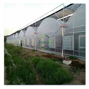 Super Strong Resistance Agriculture Film Water Treatment Plantation Multi-Span Greenhouse With Shade Net