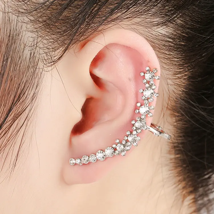Fashion Ladies Jewelry For Women High Quality Trendy Clip On Fashion Clip-on Earrings