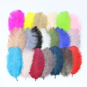 6-8inch/15-20cm Pure Natural Ostrich Feather Wedding Decoration Clothing Sewing Feather Carnival Ball Party DIY