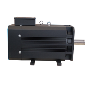 Trung Quốc 100HP ba giai đoạn nổ bằng chứng nam châm vĩnh cửu Hỗ trợ đồng bộ miễn cưỡng giá động cơ - Product Image 5