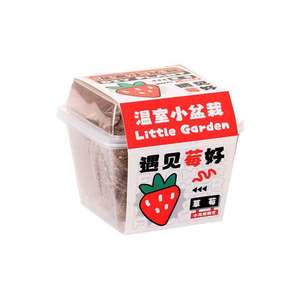 Mini <b>Potted</b> Plants For Kids And Students Plant Observation Box With Strawberry Seeds Indoor Growing Kit For Children's Day Gift - Product Image 4