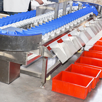 Plc Selectie Kersengroente Weegsorteerder Fruit Groente Sorteerapparatuur Roterende Schijf Gramgewicht Sorteermachines