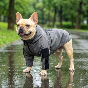Impermeabile per Cani con Cappuccio, Tuta Grigia per Bulldog Francese, Abbigliamento Estivo Casual Sportivo per Cuccioli - Product Image 1