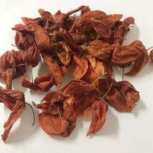 L019 Tè alle Erbe di Alta Qualità della Fabbrica Jin <span class=keywords><strong>Deng</strong></span> Long, Pianta Lanterna Cinese Naturale - Product Image 1