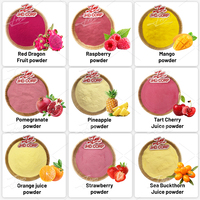 Poudre de jus de fruits naturelle, soluble dans l'eau, qualité alimentaire, en vrac, pour boissons, smoothies