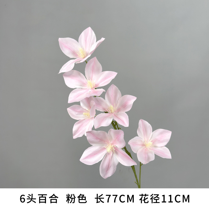 6 pink lilies