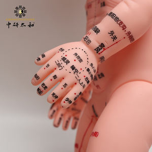 बिक्री के लिए रबर 50 सेमी पूरे शरीर एक्यूपॉइंट मेरिडियन बच्चे गुड़िया मानव मॉडल शिशु एक्यूपंक्चर - Product Image 5