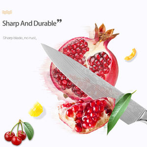 Xingye-Juego <span class=keywords><strong>de</strong></span> cuchillos <span class=keywords><strong>de</strong></span> cocina <span class=keywords><strong>de</strong></span> alta calidad, juego <span class=keywords><strong>de</strong></span> cuchillos <span class=keywords><strong>de</strong></span> <span class=keywords><strong>Chef</strong></span> clásico afilado 7cr17 con patrón <span class=keywords><strong>de</strong></span> Damasco <span class=keywords><strong>de</strong></span> acero inoxidable, 6 uds. - Product Image 4