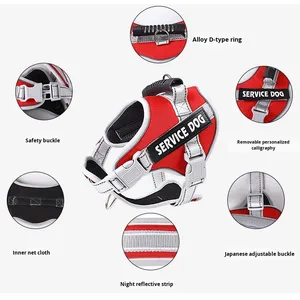 Ensemble laisse et harnais pour chien en nylon rembourré avec fermeture à boutons, style mode, pour grandes races, entraînement, randonnée, plusieurs couleurs - Product Image 3