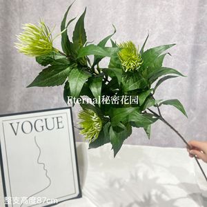 สวนลับ ต้นไม้ประดิษฐ์สีเขียวเข้ม พลาสติกตกแต่งดอกไม้ ของตกแต่งบ้าน งานแต่งงาน สไตล์นอร์ดิก - Product Image 2