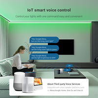 Контроллер SP54CE для умного освещения IoT с двумя режимами RGB CCT, дистанционным голосовым управлением, синхронизацией с умными колонками, записью музыки, радиочастотой 2.4G, радиусом действия 30 м, гарантией 5 лет