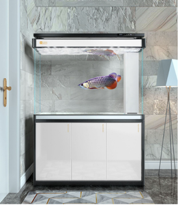 خزانة حوض سمك زجاجية خزانة Jinjing أبيض فائق لتزيين أحواض السمك والإكسسوارات حوض سمك زجاجي كبير - Product Image 5