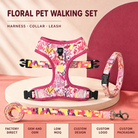 Ensemble Harnais, Collier et Laisse pour Animaux de Compagnie Imprimé par Sublimation, Écologique, Rembourré en Polyester et Néoprène, Type Gilet, Séchage Rapide – Vente Directe Usine