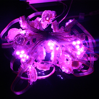 Source de lumière pour décoration publicitaire, 5050 pièces, pixels Led RGB 12V, 30mm de diamètre