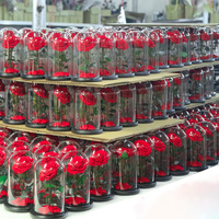 Cadeau floral personnalisé de luxe, beauté intemporelle, cadeau de Noël, fleur éternelle sous cloche en verre, boîte cadeau rose
