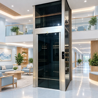 Ascenseur résidentiel intérieur à fonctionnement stable avec cabine en verre trempé architectural pour résidences de luxe, duplex et penthouse