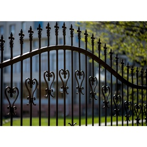 Clôture de sécurité en métal <span class=keywords><strong>d</strong></span>écorative Tanlong Spear Top, style fer forgé, anti-escalade, clôture extérieure pour <span class=keywords><strong>jardin</strong></span> - Product Image 5