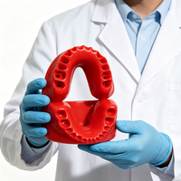 Modelo de Arco Dental en Forma de U de Doble Capa Desmontable para Enseñanza Dental