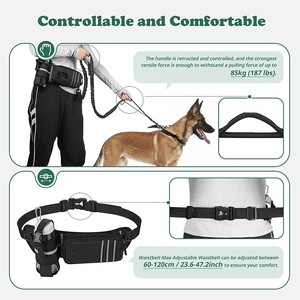 Guinzaglio Retrattile Riflettente NIBAO per Cani con Marsupio, Ideale per Passeggiate Notturne - Product Image 2