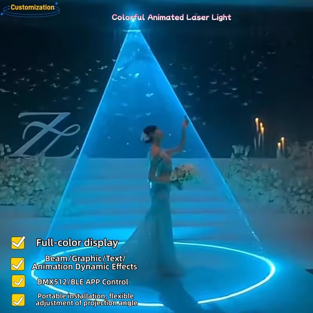 Professional Full Color Animation Laser Light DMX512 Control 1W/2W/3W Power for High Brightness Stage Use Festivals Concerts