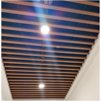 Profilé rectangulaire en alliage d'aluminium, tube carré à grain de bois, lamelles de façade en aluminium pour décoration intérieure de plafond